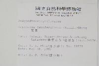 瓦葦藏品圖，第2張