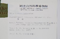 腸蕨藏品圖，第2張