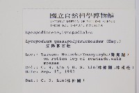 蛇足石杉、千層塔藏品圖，第2張