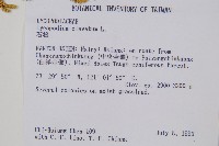 石松藏品圖，第2張