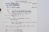 腺鱗毛蕨藏品圖，第2張