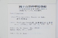 海州骨碎補藏品圖，第2張