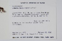 抱樹蕨、伏石蕨藏品圖，第2張