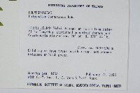 臺灣水龍骨藏品圖，第2張