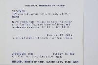 單葉雙蓋蕨藏品圖，第2張