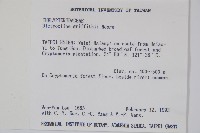 聖蕨藏品圖，第2張