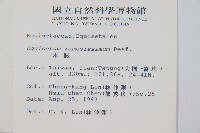 木賊藏品圖，第2張