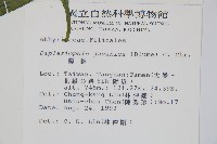 腸蕨藏品圖，第2張