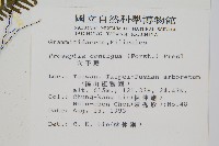 穴子蕨藏品圖，第2張