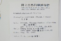 穴子蕨藏品圖，第2張