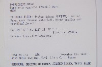 細毛碗蕨藏品圖，第2張