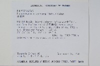 崖薑蕨藏品圖，第2張