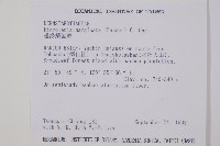 邊緣鱗蓋蕨藏品圖，第2張