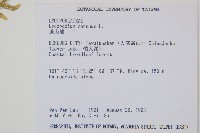 過山龍藏品圖，第2張