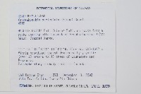 瓶蕨藏品圖，第2張