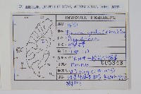 中國石葦藏品圖，第2張