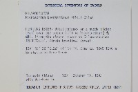 波氏星蕨藏品圖，第2張