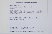 韓氏耳蕨藏品圖，第2張