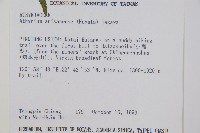 阿里山蹄蓋蕨藏品圖，第5張