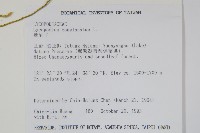 地刷子藏品圖，第2張