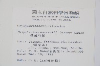 韓氏耳蕨藏品圖，第2張