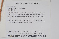 紅柄鳳尾蕨藏品圖，第2張