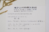 過山龍藏品圖，第2張