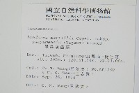 攀緣鱗始蕨藏品圖，第2張