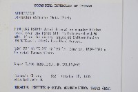 鋸齒雙蓋蕨、線葉雙蓋蕨、刺鱗雙蓋蕨藏品圖，第2張