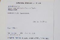 細葉複葉耳蕨藏品圖，第2張