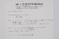 過山龍藏品圖，第2張