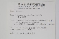 高山珠蕨藏品圖，第2張