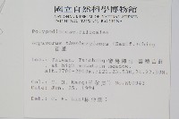 瓦葦藏品圖，第2張