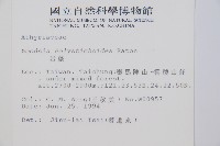 岩蕨藏品圖，第2張