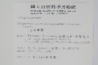 玉山茀蕨藏品圖，第2張