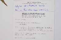 對生蹄蓋蕨藏品圖，第2張