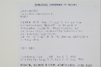 地刷子藏品圖，第2張