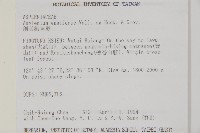劍葉鐵角蕨、箭葉鐵角蕨藏品圖，第2張