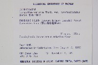 長柄千層塔藏品圖，第2張