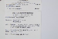 韓氏羅曼蕨藏品圖，第2張