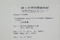 玉山茀蕨藏品圖，第2張