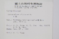 石松藏品圖，第2張