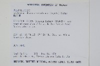 鱗瓦葦、長柄瓦葦藏品圖，第2張