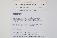 細葉蕗蕨藏品圖，第2張