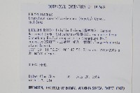 玉山茀蕨藏品圖，第2張