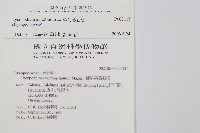 杉葉蔓石松藏品圖，第2張