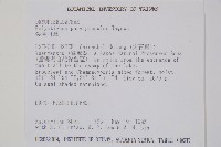 尖葉耳蕨藏品圖，第2張