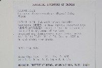 粵瓦葦藏品圖，第2張