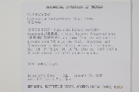 波氏星蕨藏品圖，第2張