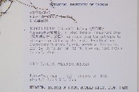 紅苞蹄蓋蕨藏品圖，第2張